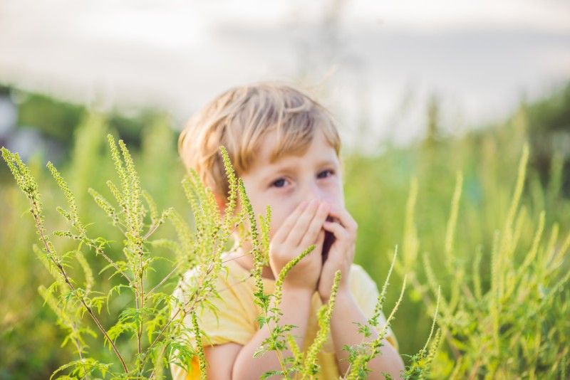 Come curare le allergie